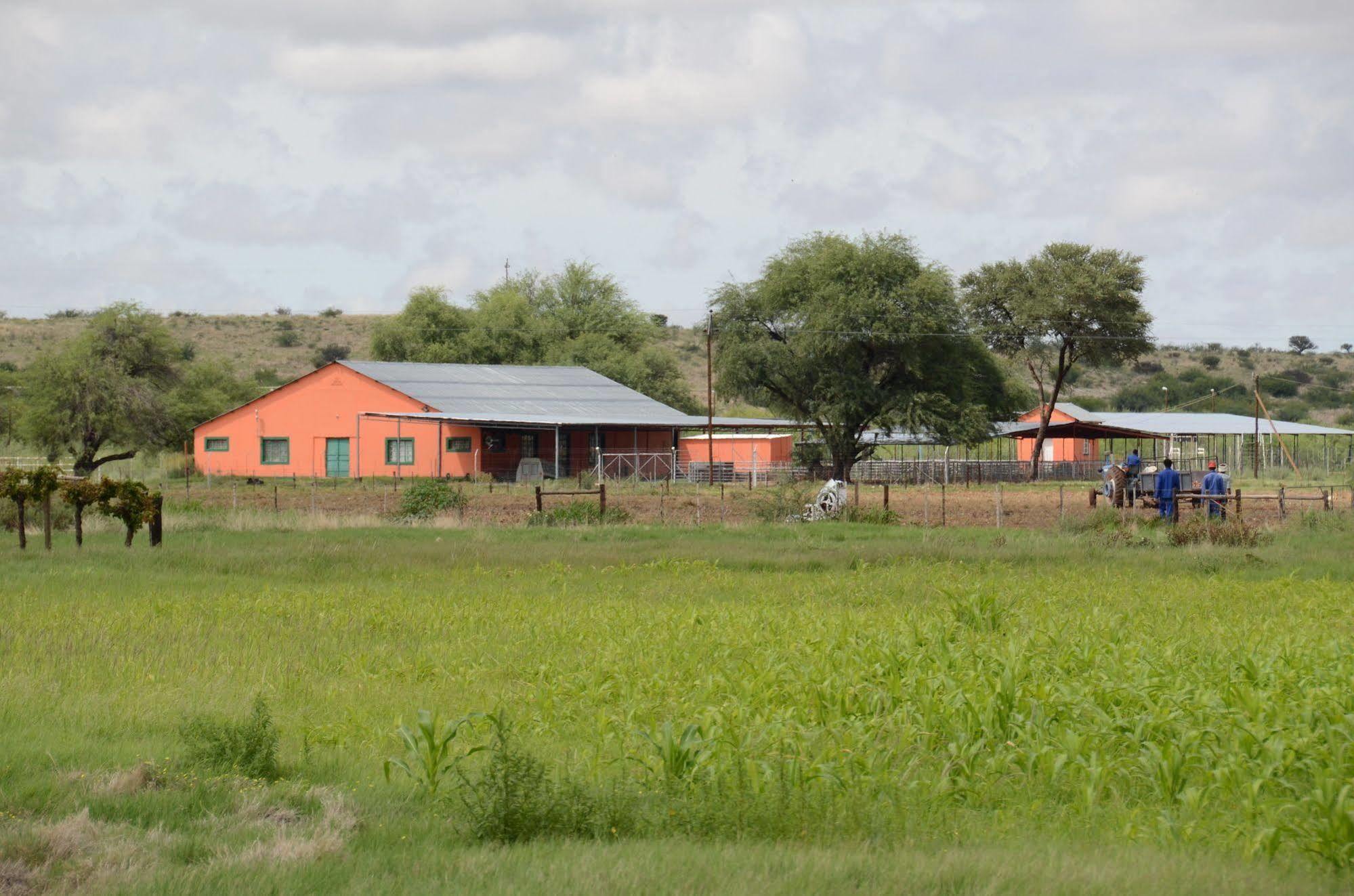 Kalahari Farmhouse, Namibia Mariental Exteriör bild